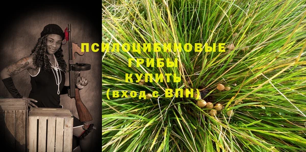 каннабис Аркадак