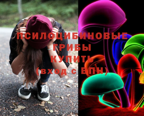 каннабис Аркадак