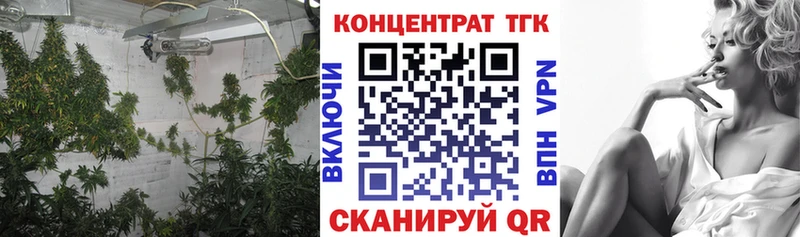 где купить Саянск ТГК гашишное масло